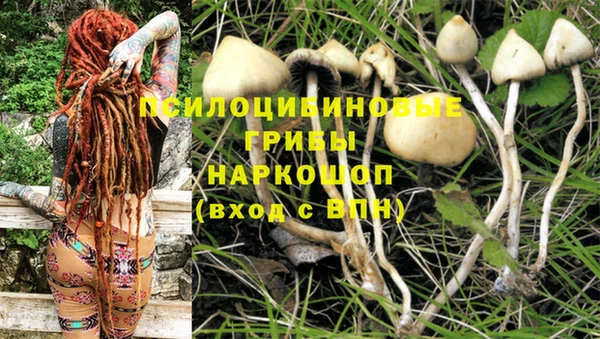 амф Артём