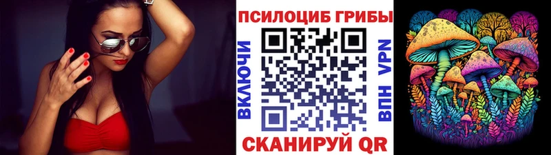 Псилоцибиновые грибы MAGIC MUSHROOMS  где купить   Андреаполь 
